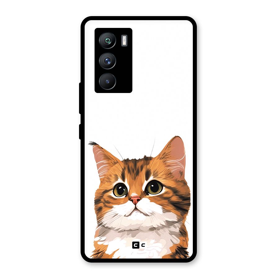 The Cute Cat Glass Back Case for Vivo iQOO 9 SE