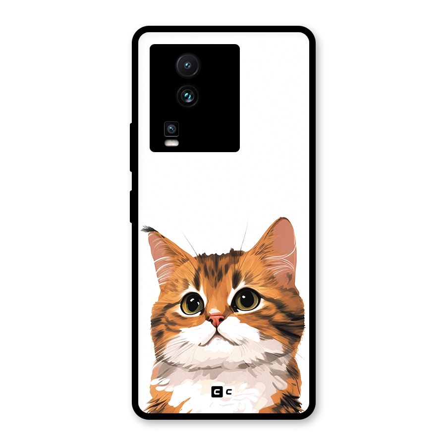 The Cute Cat Glass Back Case for Vivo iQOO Neo 7
