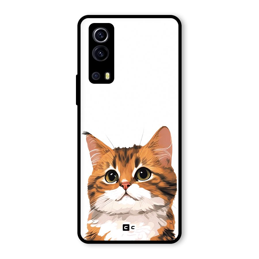 The Cute Cat Glass Back Case for Vivo iQOO Z3