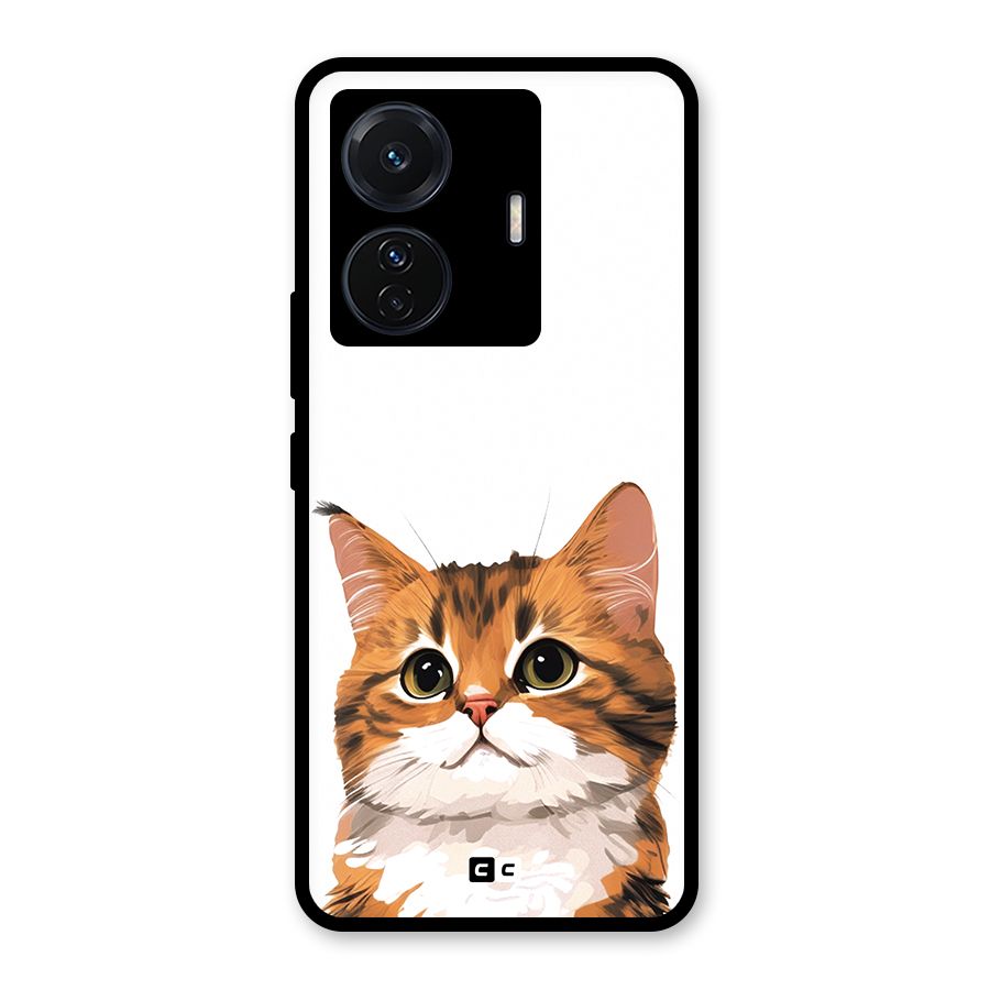 The Cute Cat Glass Back Case for Vivo iQOO Z6 Pro