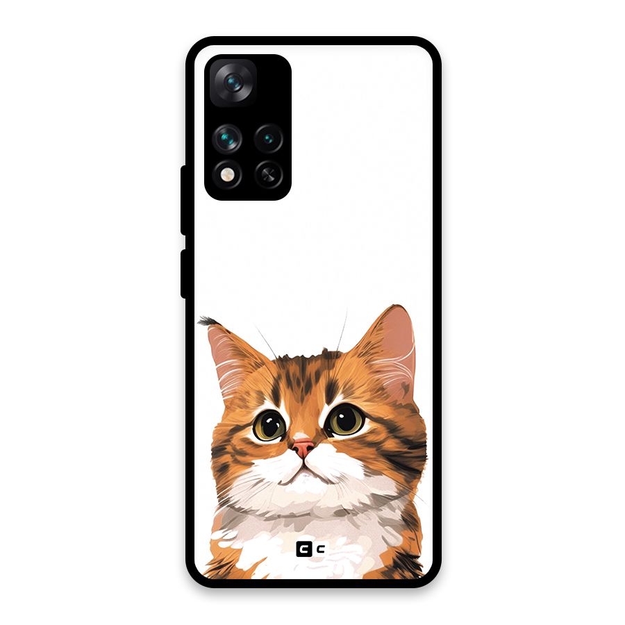 The Cute Cat Glass Back Case for Xiaomi 11i HyperCharge 5G