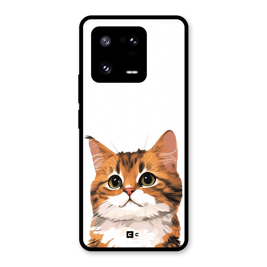 The Cute Cat Glass Back Case for Xiaomi 13 Pro