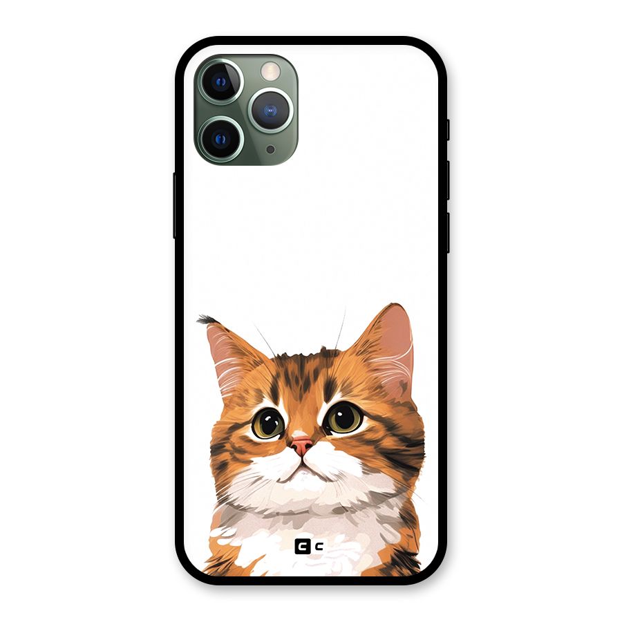 The Cute Cat Glass Back Case for iPhone 11 Pro