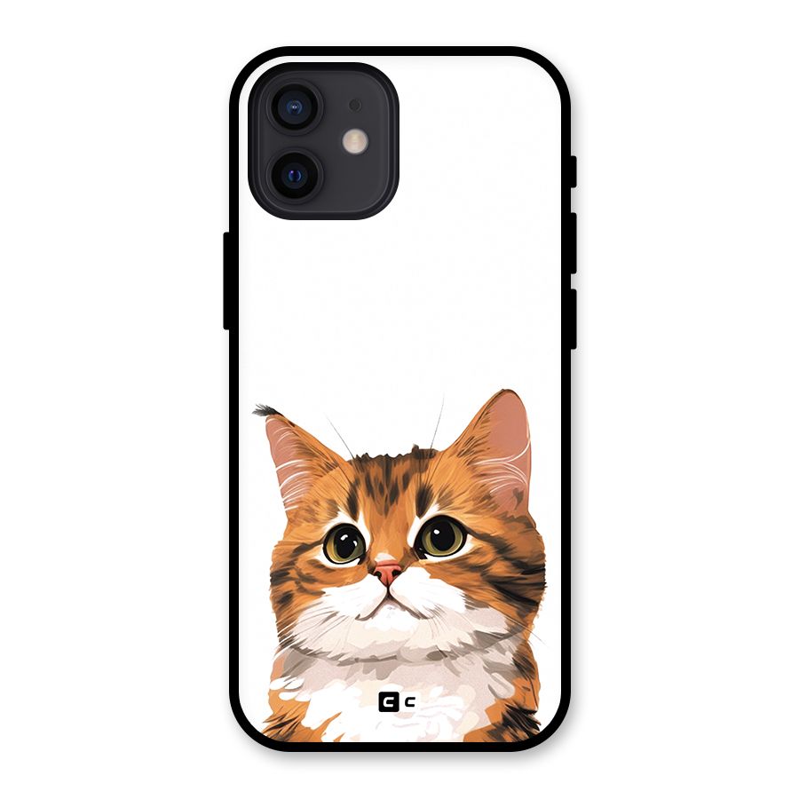 The Cute Cat Glass Back Case for iPhone 12
