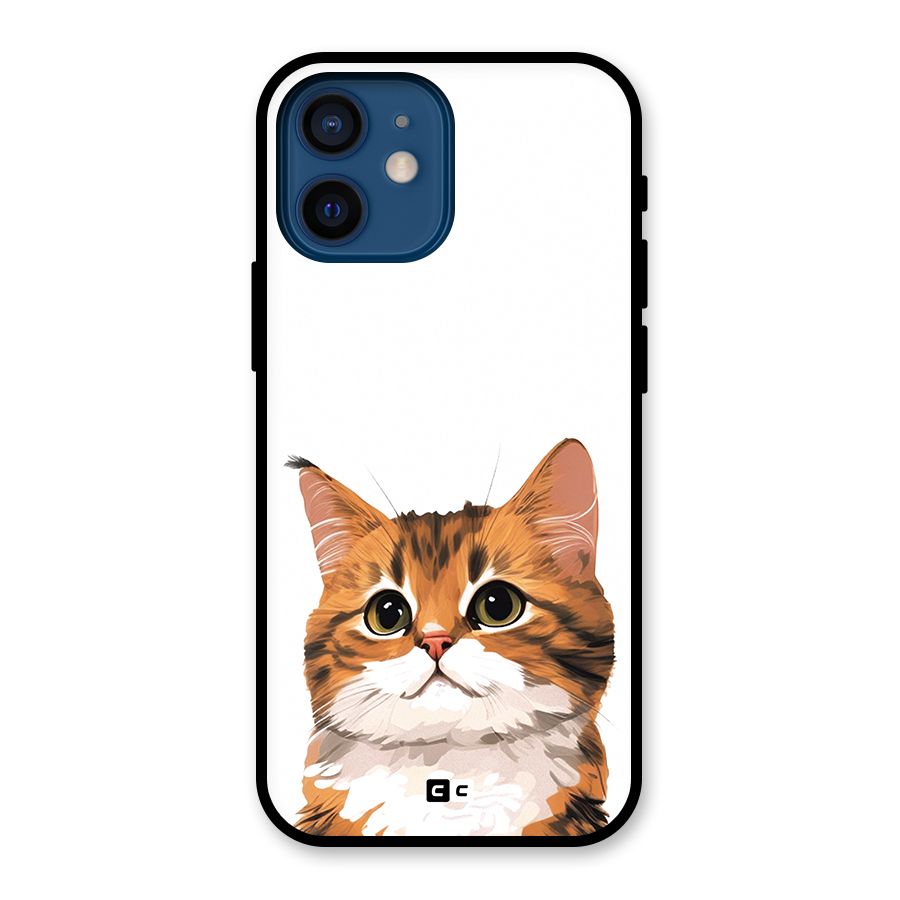 The Cute Cat Glass Back Case for iPhone 12 Mini