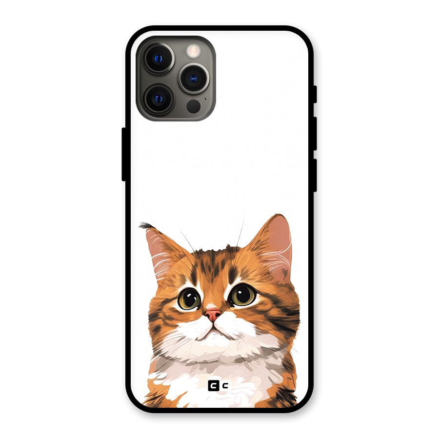 The Cute Cat Glass Back Case for iPhone 12 Pro Max