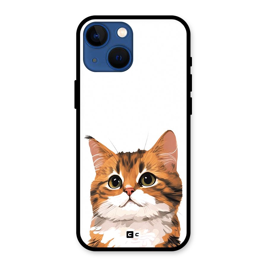 The Cute Cat Glass Back Case for iPhone 13 Mini