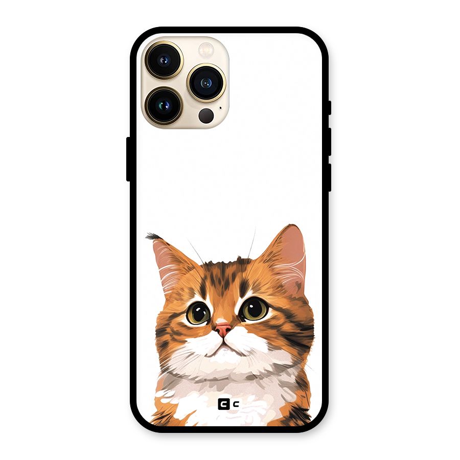The Cute Cat Glass Back Case for iPhone 13 Pro Max