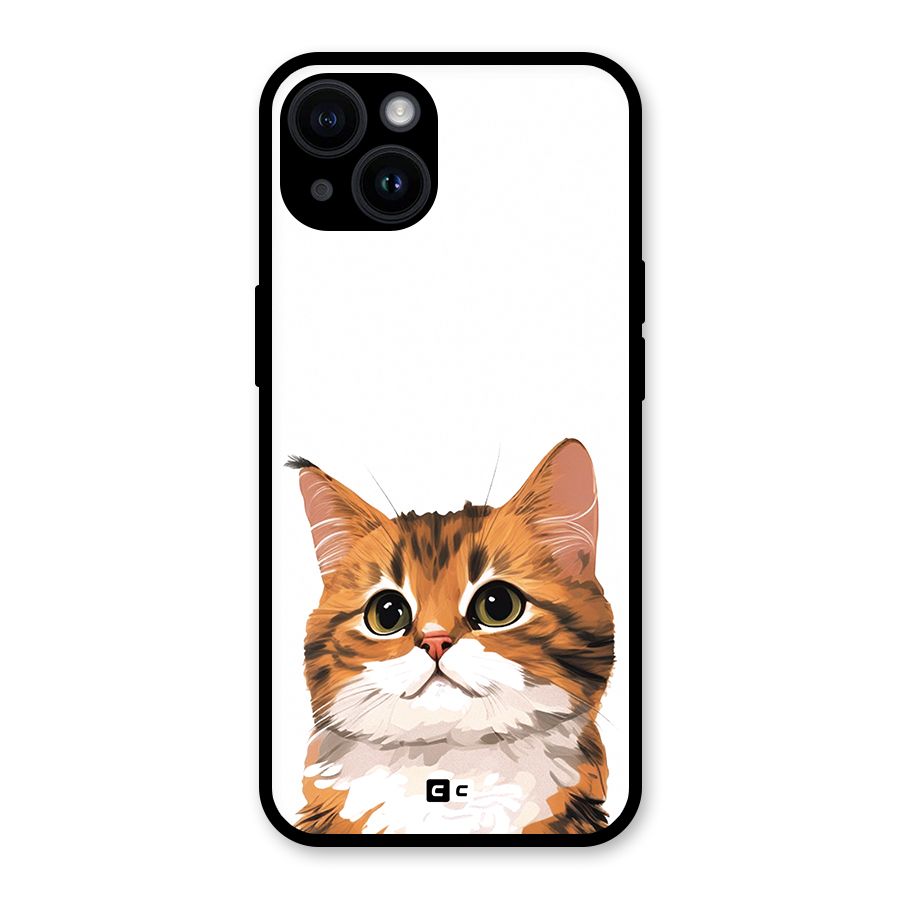 The Cute Cat Glass Back Case for iPhone 14