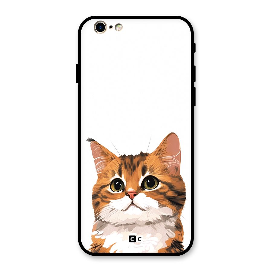 The Cute Cat Glass Back Case for iPhone 6 6S