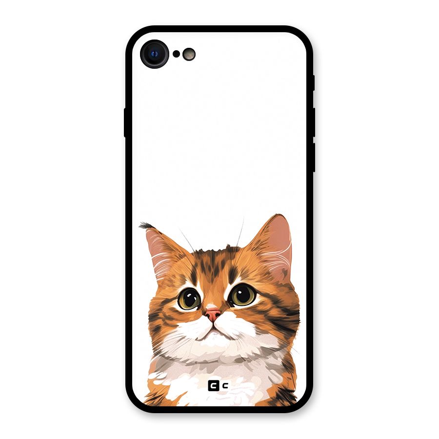 The Cute Cat Glass Back Case for iPhone 7