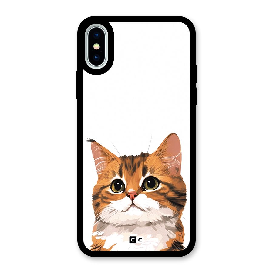 The Cute Cat Glass Back Case for iPhone XS