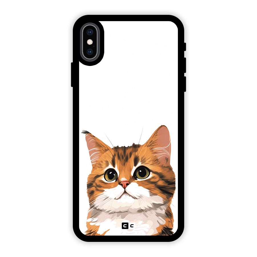 The Cute Cat Glass Back Case for iPhone XS Max