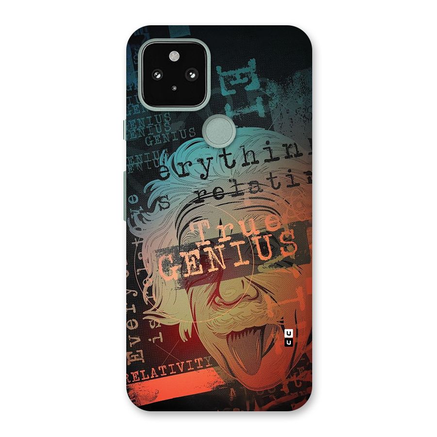 True Genius Back Case for Google Pixel 5