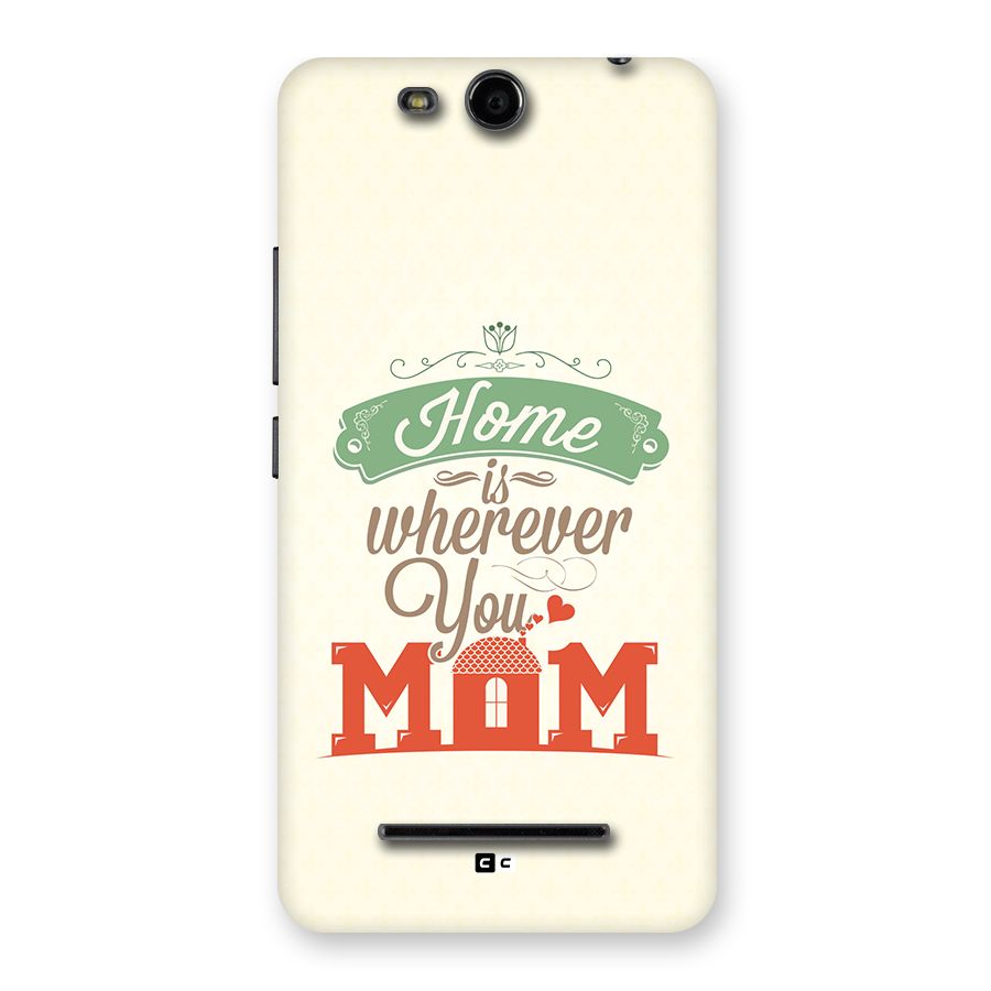 True Home Back Case for Canvas Juice 3 Q392