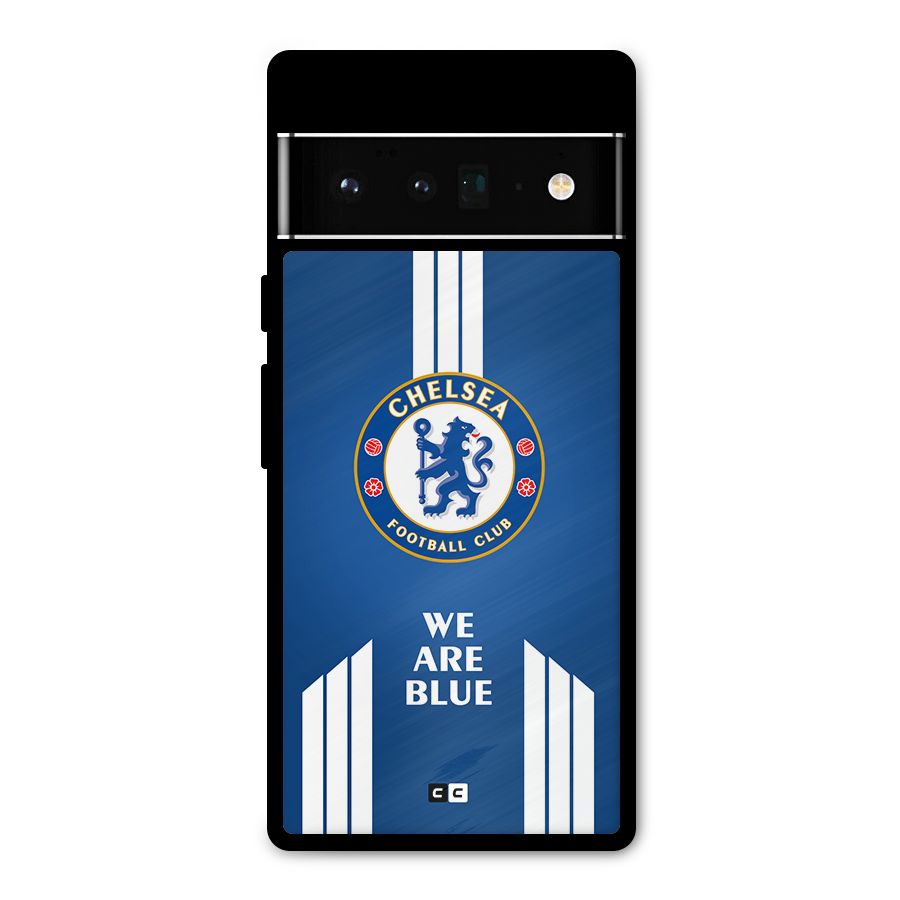 We Are Blue Metal Back Case for Google Pixel 6 Pro