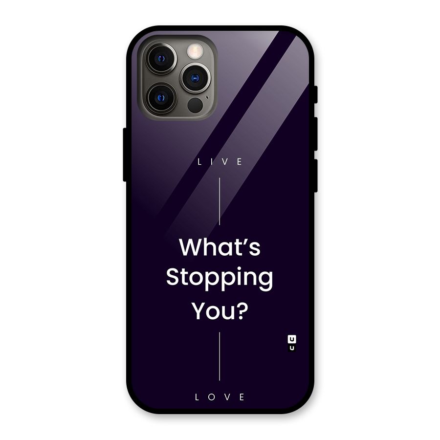 What Stopping You Glass Back Case for iPhone 12 Pro