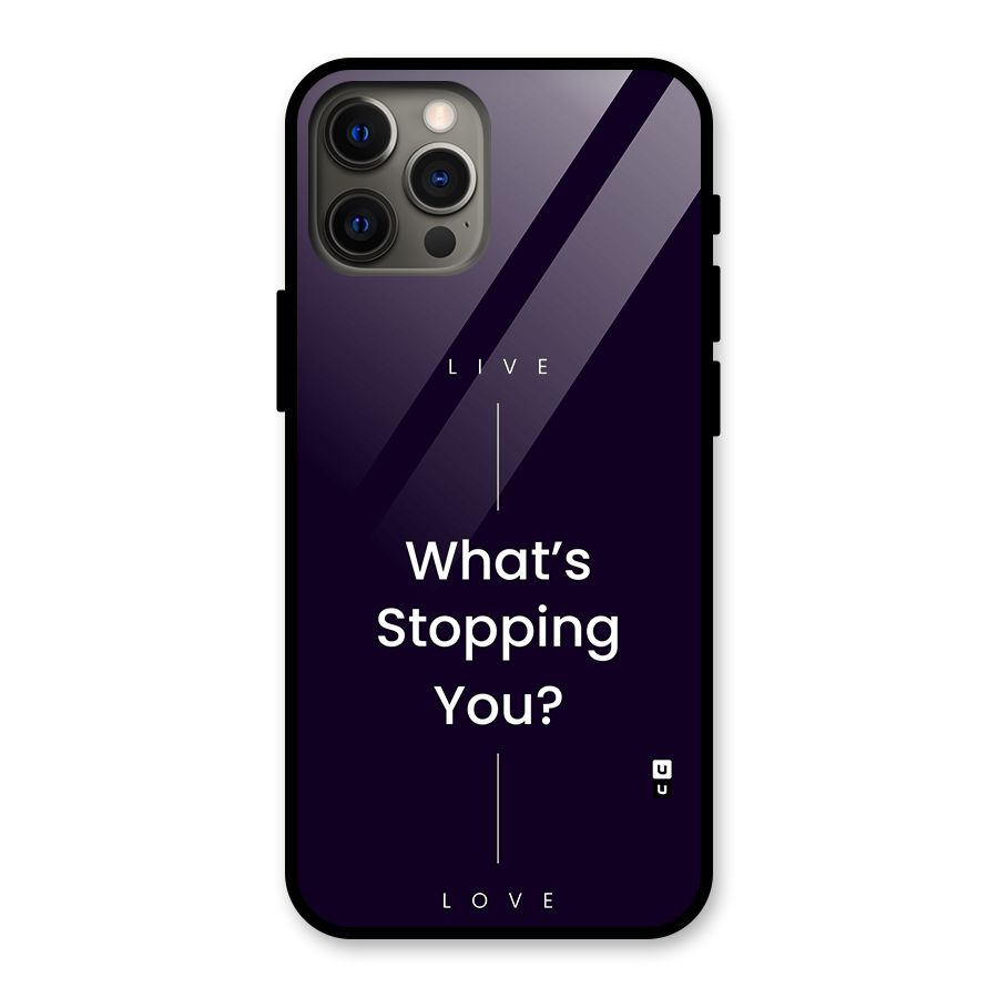 What Stopping You Glass Back Case for iPhone 12 Pro Max