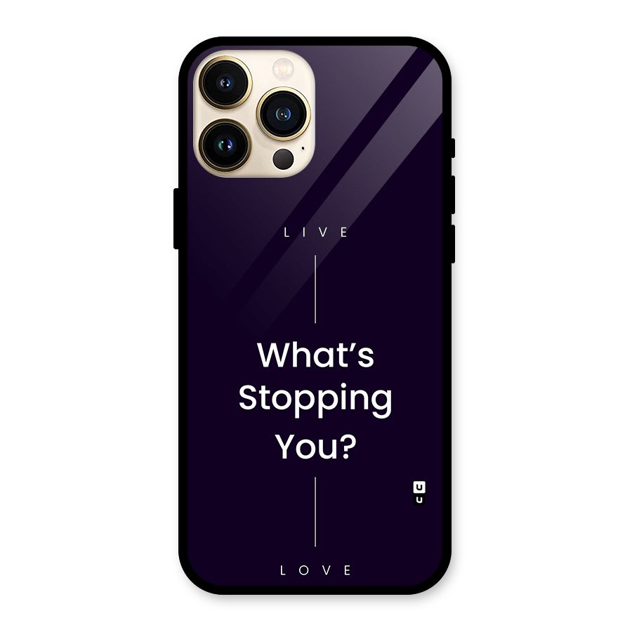 What Stopping You Glass Back Case for iPhone 13 Pro Max