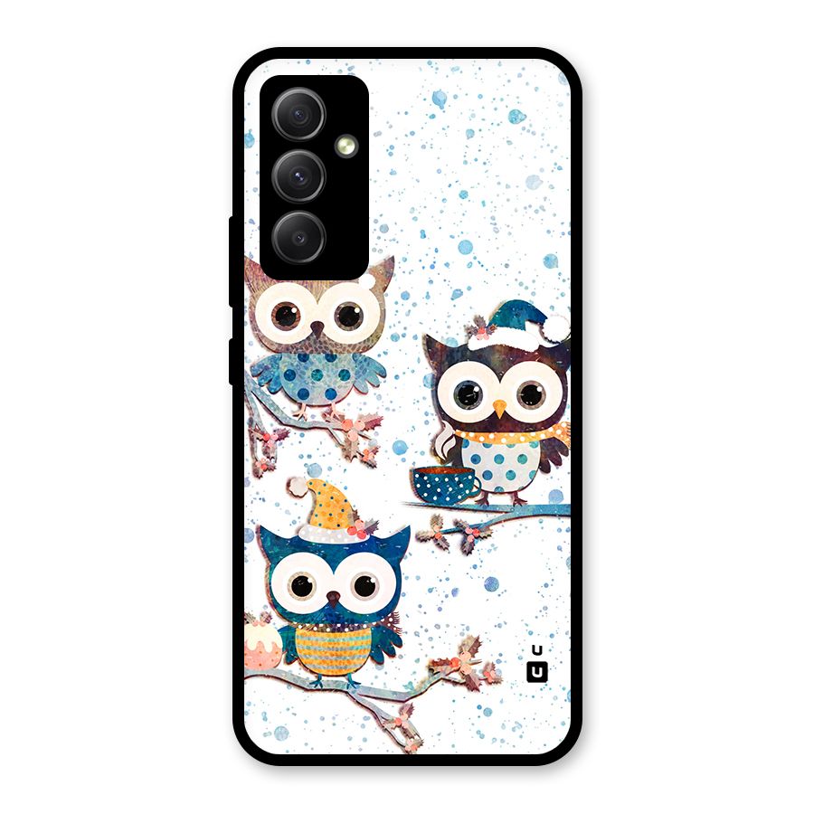 Winter Owls Glass Back Case for Galaxy A34