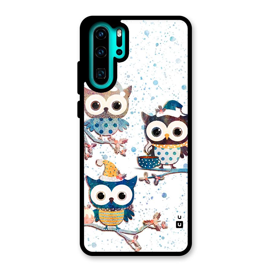 Winter Owls Glass Back Case for Huawei P30 Pro