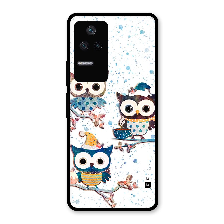Winter Owls Glass Back Case for Poco F4 5G