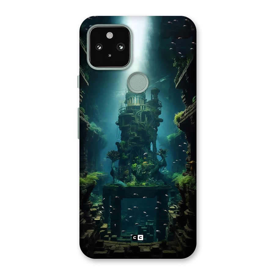 World Under Water Back Case for Google Pixel 5