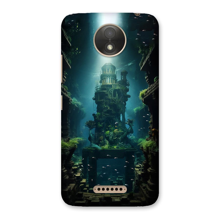 World Under Water Back Case for Moto C Plus