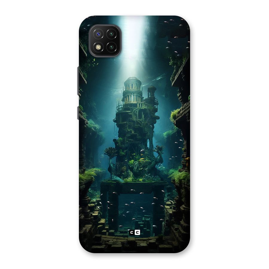 World Under Water Back Case for Poco C3