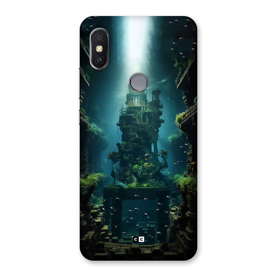 World Under Water Back Case for Redmi Y2