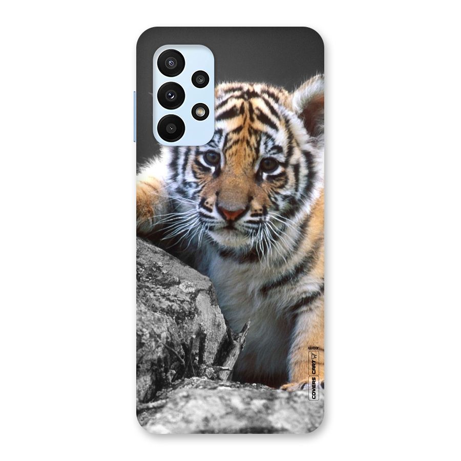 Animal Beauty Back Case for Galaxy A23
