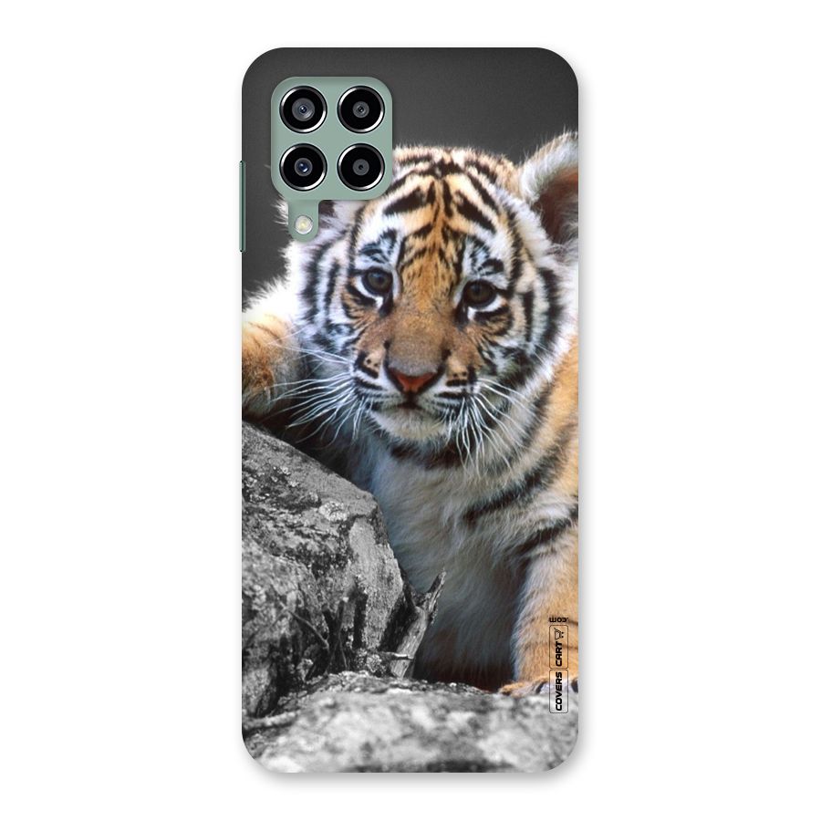 Animal Beauty Back Case for Galaxy M33