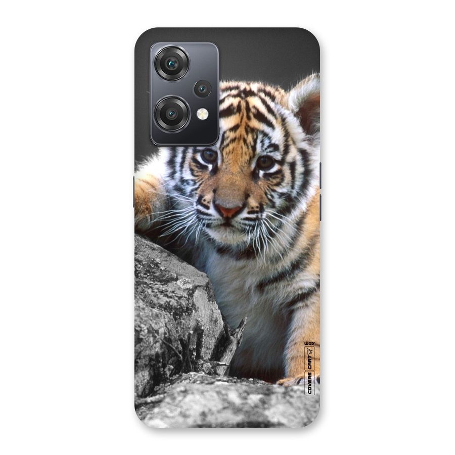 Animal Beauty Back Case for OnePlus Nord CE 2 Lite 5G
