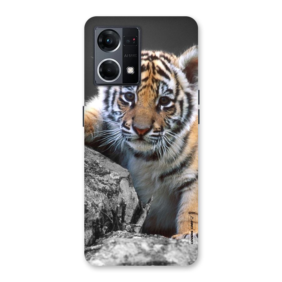 Animal Beauty Glass Back Case for Oppo F21 Pro 5G