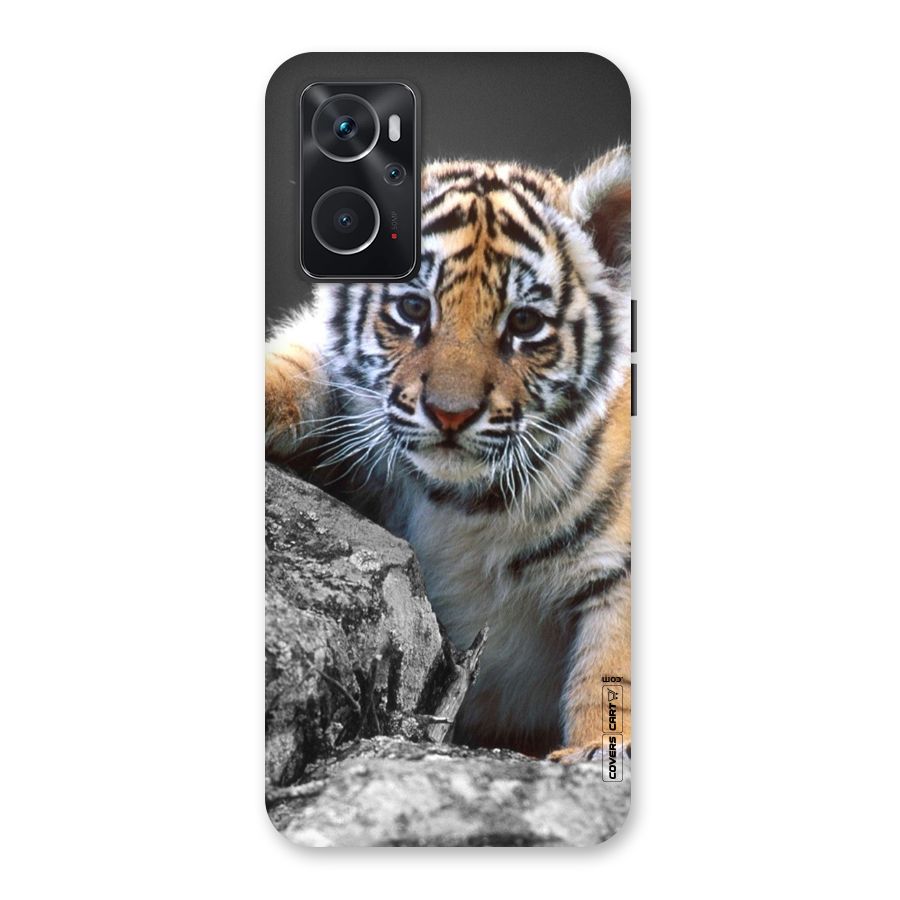 Animal Beauty Back Case for Oppo K10 4G