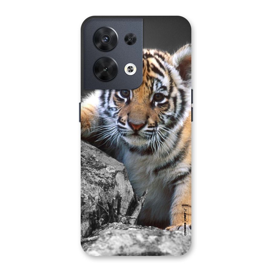 Animal Beauty Back Case for Oppo Reno8 5G