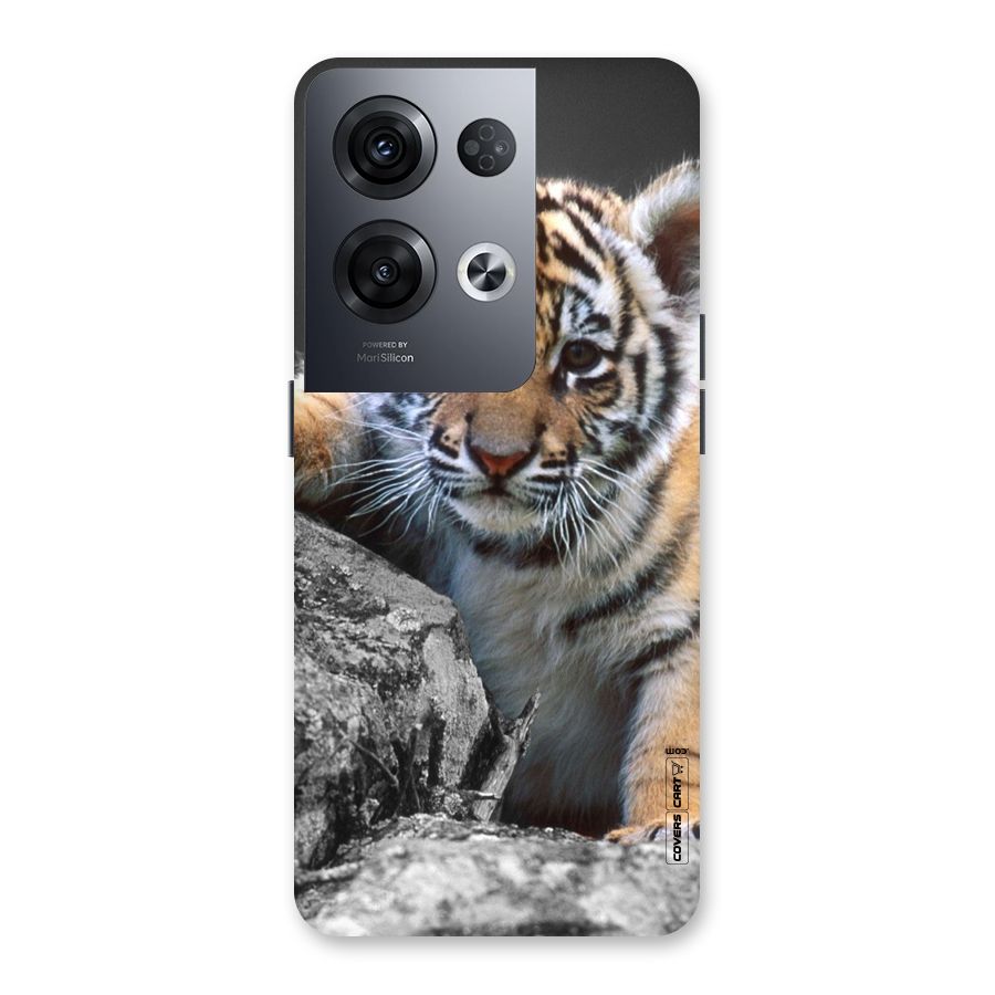 Animal Beauty Back Case for Oppo Reno8 Pro 5G