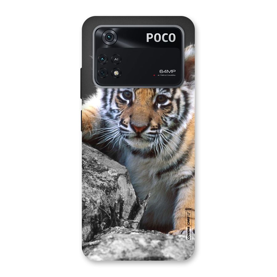 Animal Beauty Back Case for Poco M4 Pro 4G