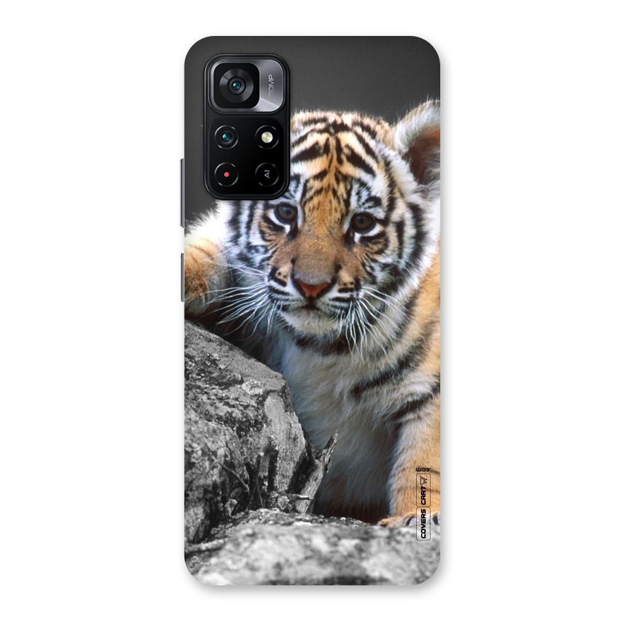 Animal Beauty Back Case for Poco M4 Pro 5G