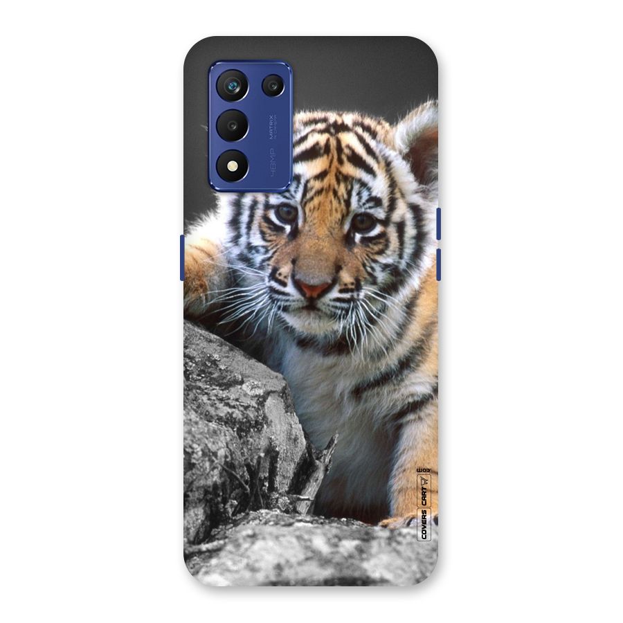 Animal Beauty Back Case for Realme 9 5G Speed