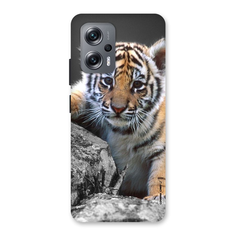Animal Beauty Back Case for Redmi K50i