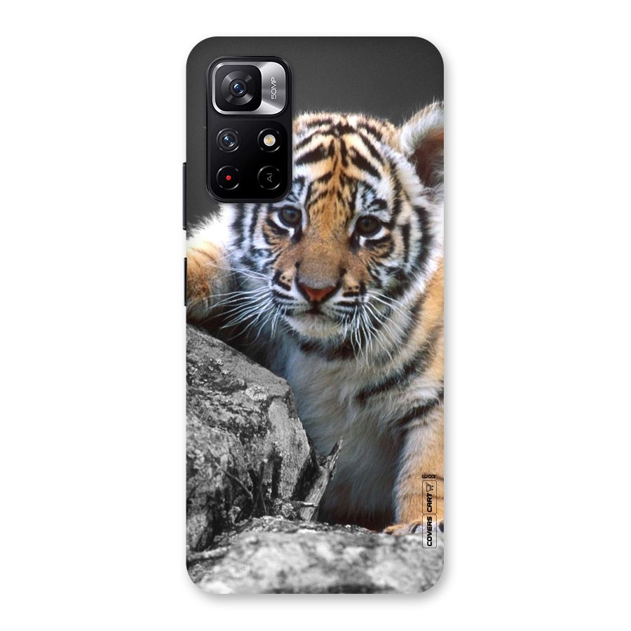 Animal Beauty Back Case for Redmi Note 11T 5G