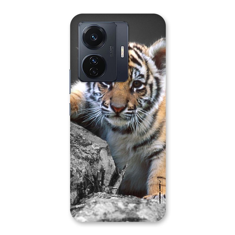 Animal Beauty Back Case for Vivo T1 Pro
