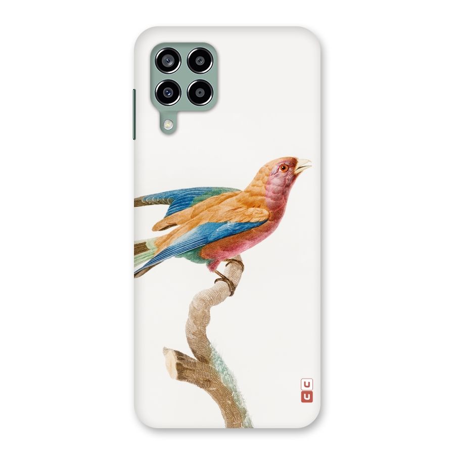 Beautiful Bird Back Case for Galaxy M33
