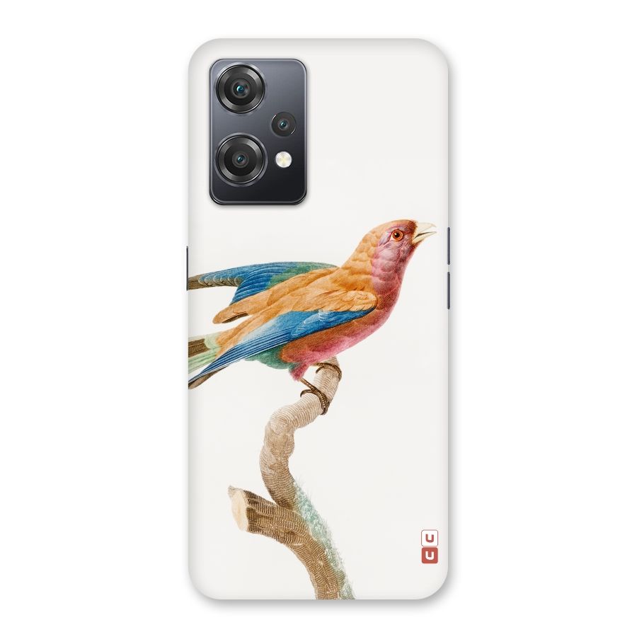 Beautiful Bird Back Case for OnePlus Nord CE 2 Lite 5G