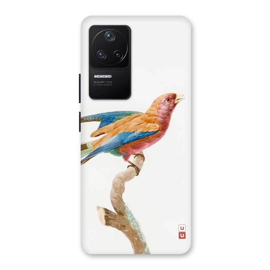 Beautiful Bird Back Case for Poco F4 5G