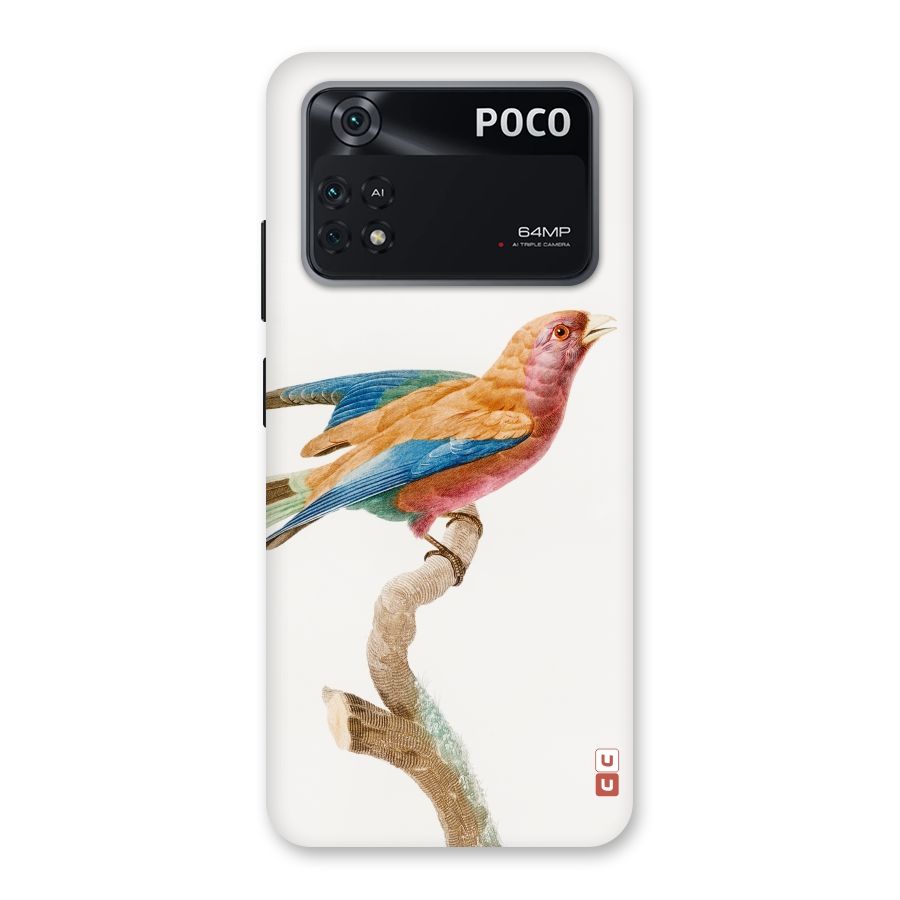 Beautiful Bird Back Case for Poco M4 Pro 4G