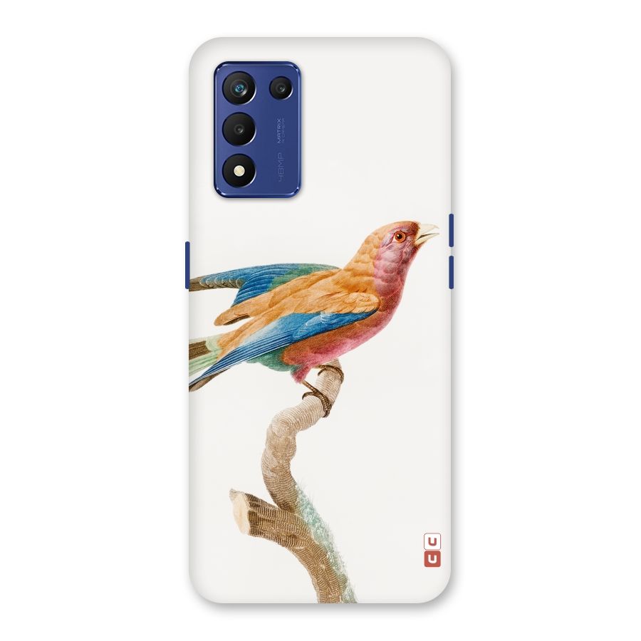 Beautiful Bird Back Case for Realme 9 5G Speed