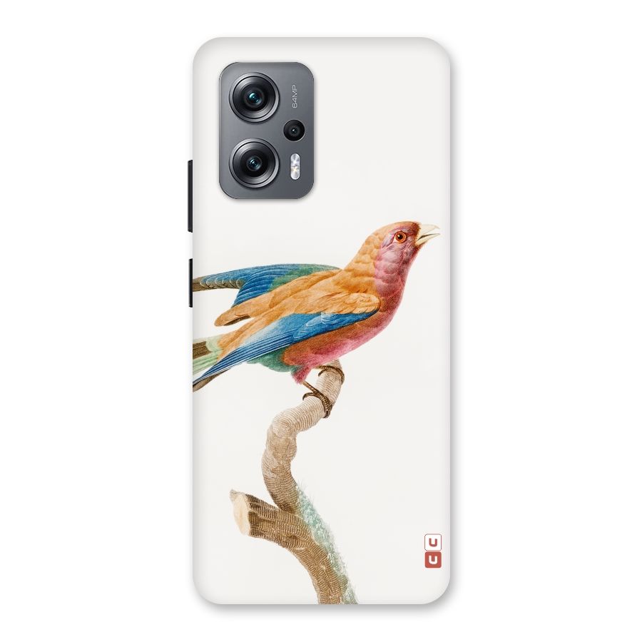 Beautiful Bird Back Case for Redmi K50i