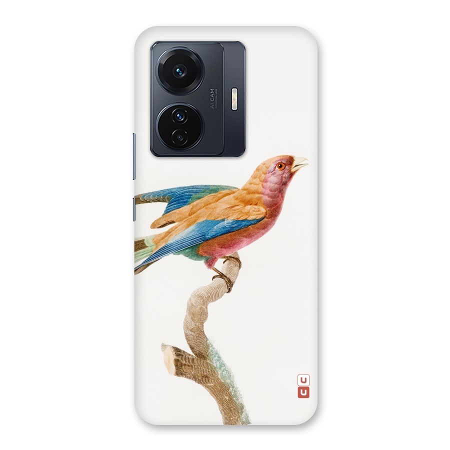Beautiful Bird Back Case for Vivo T1 Pro